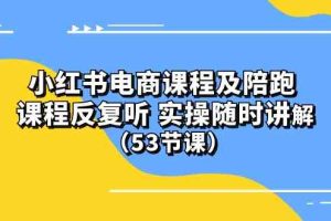 （10170期）小红书电商课程及陪跑 课程反复听 实操随时讲解 （53节课）