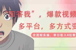 （14116期）回答我爆款视频,自带流量，AI拉新，分成计划等多方式、多平台变现，单…