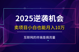 （14122期）项目标题：2025逆袭机会，卖项目小白也能轻松月入10万+