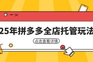 （14222期）25年拼多多全店托管玩法，矩阵动销裂变玩法如何低风险盈利 新手运营秘籍