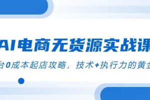 （14982期）AI电商无货源实战课，三平台0成本起店攻略，技术+执行力的黄金配比