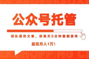 （15109期）【公众号托管 】我提供文章，你每天５分钟复制发布，最高月入1W