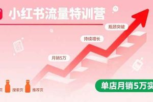（15936期）小红书流量特训营：突破流量瓶颈，实现店铺持续增长，单店月销5万实战