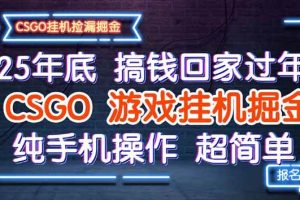(16343期)25年底搞钱回家过年,CSGO游戏挂机掘金,纯手机操作超简单