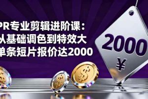 (16381期)PR专业剪辑进阶课:从基础调色到特效大片的进阶技能,单条短片报价达2000