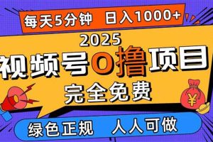 (16388期)2025视频号0撸项目,5分钟一个号,日入1000+,人人可做