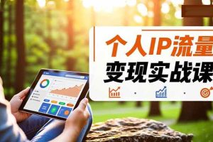(16525期)个人IP流量变现实战课,涵盖多平台引流、打造个人IP并实现稳定流量变现