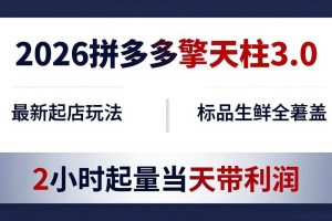（18128期）2026拼多多擎天柱 3.0-更新4月20：最新起店玩法，标品生鲜全覆盖，2小时起量当天带利润