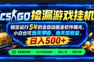 (21070期)CSGO捡漏游戏挂机,稳定运行5年的全自动掘金软件曝光,小白也可当天学会,当天见收益,日入500+